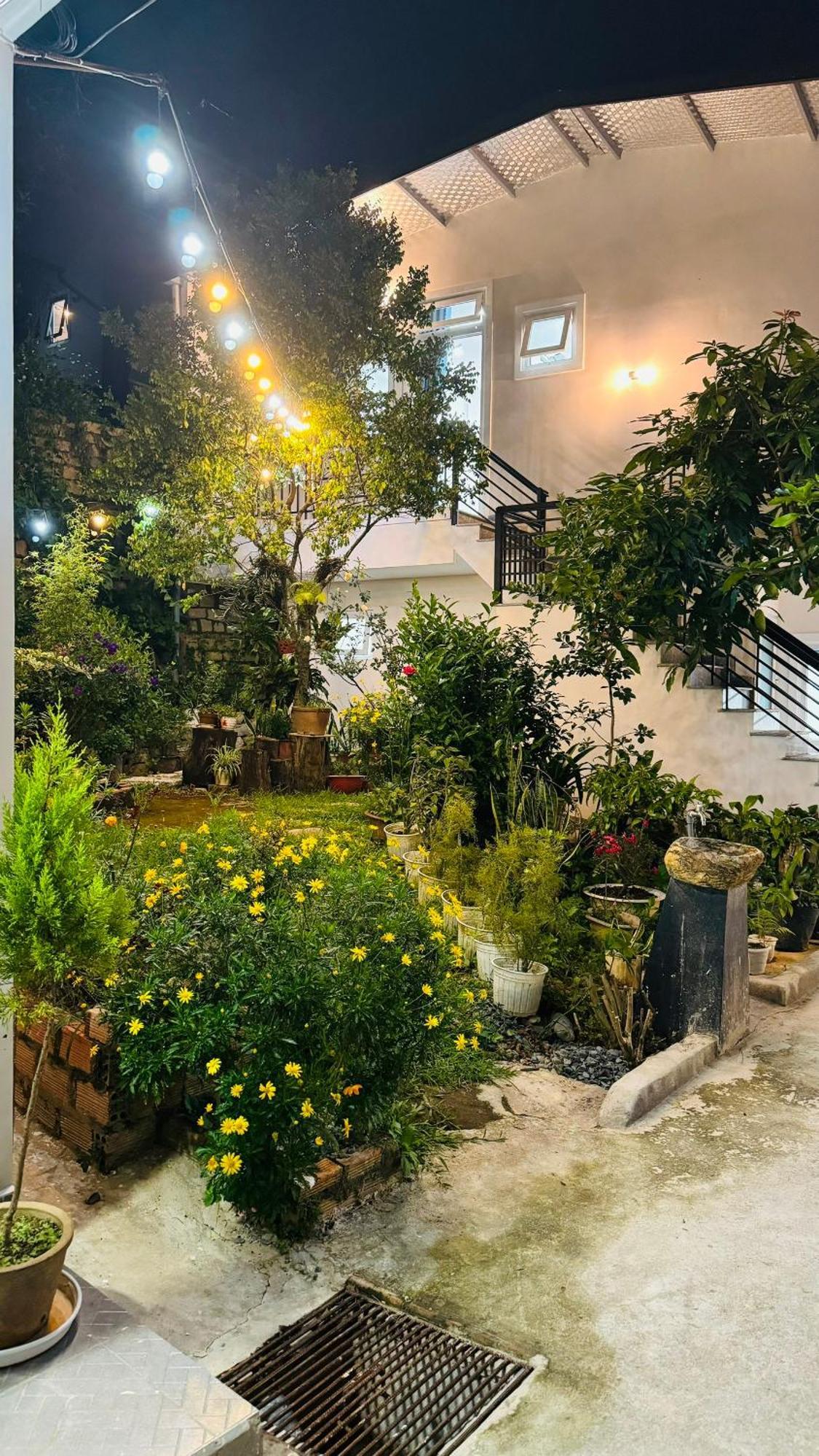 Nha Cua Soc Apartment Da Lat Exterior foto